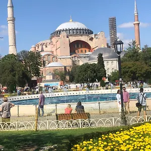 Bachos View Hagia Sophia Стамбул
